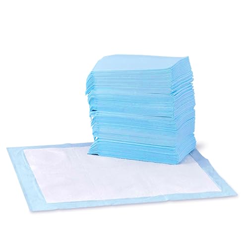 0696739291422 - AMAZON BASICS DOG AND PUPPY PEE PADS WITH LEAK-PROOF QUICK-DRY DESIGN FOR POTTY TRAINING, STANDARD ABSORBENCY, REGULAR SIZE, 22 X 22 INCHES, PACK OF 150, BLUE & WHITE