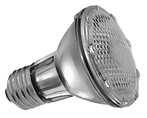 6981661567610 - ZXWY THICK CASE BULB 21W COLOR GREY