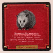 0699618748246 - WIDMER BROTHERS BREWING - DIDELPHIS MARSUPIALIS - PAPERBOARD COASTERS - SLEEVE OF 120