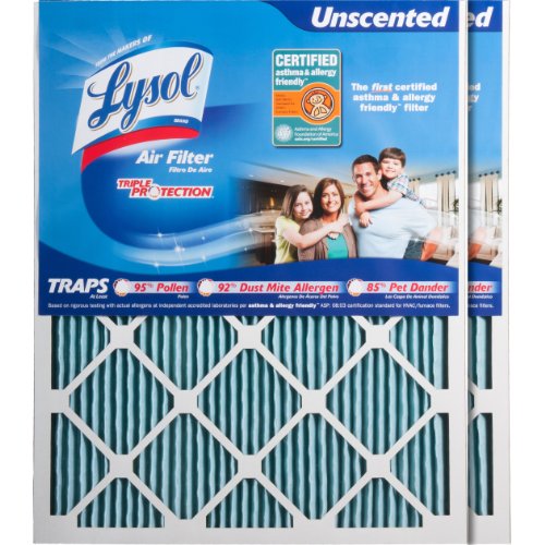 0701515000393 - LYSOL TRIPLE PROTECTION FURNACE/AC AIR FILTER, 20 X 25 X 1, 2-PACK
