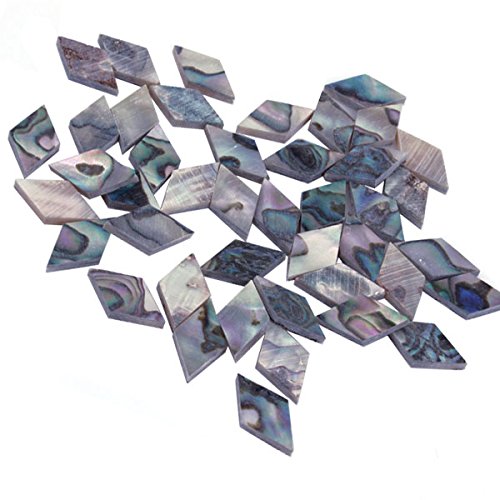 0702142601939 - PAUA ABALONE SHELL DIAMOND INLAYS GUITAR MANDOLIN BANJO MAKER 8X13X2MM (PACK OF 10)