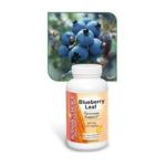 0703308040678 - BLUEBERRY 500 MG,6 COUNT