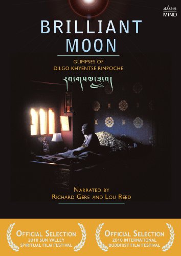 0705105265513 - BRILLIANT MOON (DVD)
