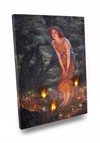 0706996713398 - MIDSUMMERS EVE FAIRY ART LED ACCENT PRINTED CANVAS WALL HANGING