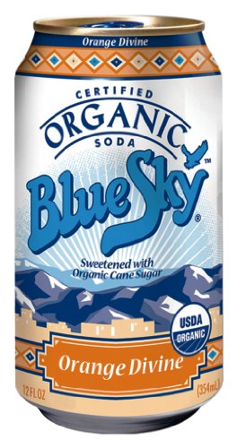 0070847197287 - BLUE SKY ORGANIC ORANGE DIVINE SODA, 12 OUNCE CANS (PACK OF 24)