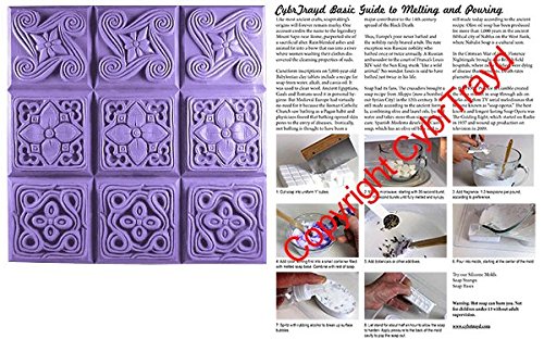 0709112464808 - BROCADE SOAP MOLD TRAY - MAKES 4 OZ BARS. MILKY WAY. MELT & POUR, COLD PROCESS W/ EXCLUSIVE COPYRIGHTED FULL COLOR CYBRTRAYD SOAP MOLDING INSTRUCTIONS