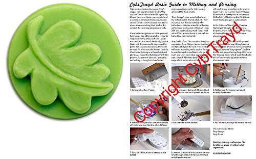 0709112464983 - SMALL ROUND LEAF SOAP MOLD - MAKES 0.65 OZ BARS. MILKY WAY. MELT & POUR, COLD PROCESS W/ EXCLUSIVE COPYRIGHTED FULL COLOR CYBRTRAYD SOAP MOLDING INSTRUCTIONS