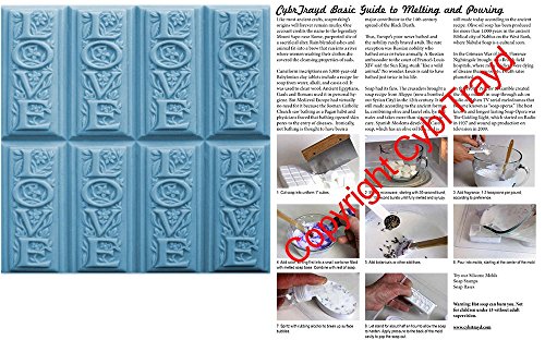 0709112465072 - LOVE SOAP MOLD TRAY - MAKES 4.25 OZ BARS. MILKY WAY. MELT & POUR, COLD PROCESS W/ EXCLUSIVE COPYRIGHTED FULL COLOR CYBRTRAYD SOAP MOLDING INSTRUCTIONS