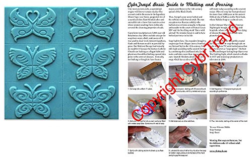 0709112465133 - BUTTERFLY SOAP MOLD - MAKES 4.85 OZ BARS. MILKY WAY. MELT & POUR, COLD PROCESS W/ EXCLUSIVE COPYRIGHTED FULL COLOR CYBRTRAYD SOAP MOLDING INSTRUCTIONS