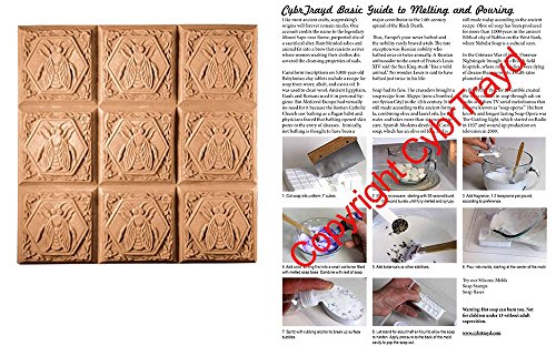 0709112465164 - BEE SOAP MOLD TRAY - MAKES 4 OZ BARS. MILKY WAY. MELT & POUR, COLD PROCESS W/ EXCLUSIVE COPYRIGHTED FULL COLOR CYBRTRAYD SOAP MOLDING INSTRUCTIONS