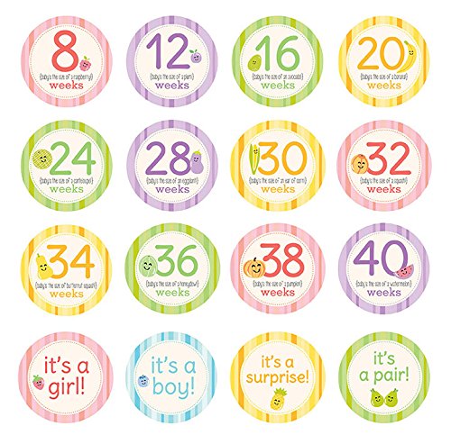 7101674620228 - PEARHEAD PREGNANCY MILESTONE PHOTO SHARING BELLY STICKERS, 16 STICKERS INCLUDED