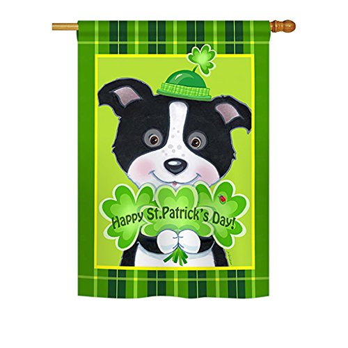 0710320020298 - BREEZE DECOR - ST. PAT'S PUPPY SPRING - SEASONAL IMPRESSIONS DECORATIVE VERTICAL HOUSE FLAG 28 X 40 PRINTED IN USA