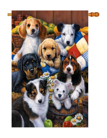 0710320100495 - COUNTRY BUMPKIN PUPPIES LARGE FLAG 28X 40