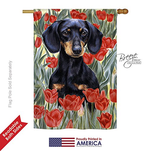 0710320100808 - DACHSUND IN TULIPS LARGE FLAG 28 INCHES BY 40 INCHES
