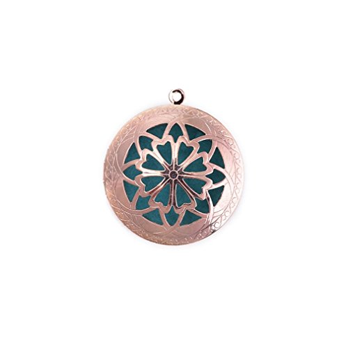 0711091227930 - ZX JEWELRY 10PCS ROSE-RED AROMATHERAPY ESSENTIAL OIL DIFFUSER LOCKET NECKLACES PENDANTS