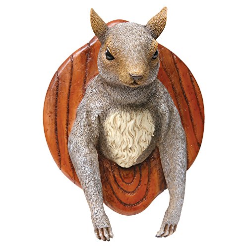 0712131813366 - WALL MOUNTED SQUIRREL HEAD - FUNNY WALL PLAQUE TROPHY - EXCLUSIVE FROM WIRELESS