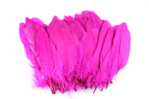 0712320554469 - 100PCS DYED GOOSE FEATHER FOR ART, HOME OR PARTY 6-8INCH ,ROSE RED
