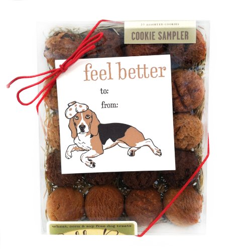 0713757474313 - FEEL BETTER BOX WITH GIFT TAG DOG BISCUITS