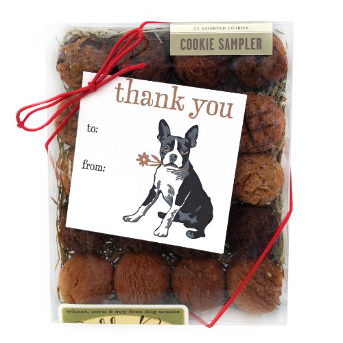 0713757474719 - THANK YOU BOX WITH GIFT TAG DOG BISCUITS