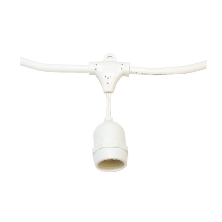 0714176997278 - AMERICAN LIGHTING LS-MS-24-100-WH COMMERCIAL GRADE LIGHT STRING WITH 50-SUSPENDED MEDIUM BASE SOCKETS, 100-FOOT, WHITE