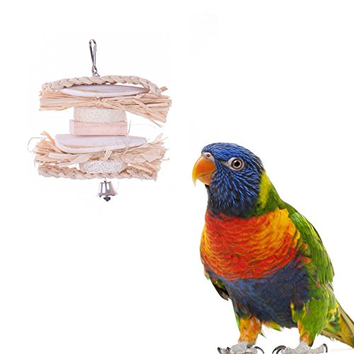 0714402959698 - BIRDS PET TOYS FOR PARROT NATURAL CUTTLEFISH BONE TWISTED STRING