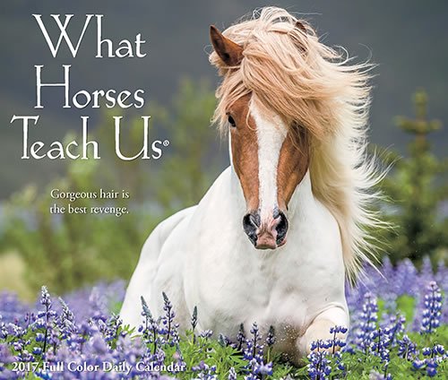 0715658190927 - QUALITY WHAT HORSES TEACH US DAILY DESKTOP BOX CALENDAR 2017 HORSE LESSON