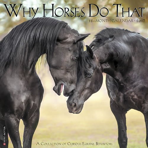 0715658191344 - QUALITY WHY HORSES DO THAT WALL CALENDAR 2017 SCENIC ANIMAL