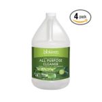 0717256000042 - ALL PURPOSE CLEANER SUPER CONCENTRATED