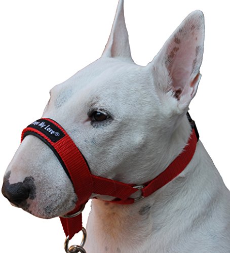0718088281548 - DOG HEAD COLLAR HALTER RED 6 SIZES (S: 8.25-10.25 SNOUT)