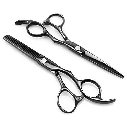 0718399901982 - PASSION STAINLESS STEEL PROFESSIONAL HAIR CUTTING SCISSORS PRECISION 2-PIECE BARBER SHEARS THINNING SET 6.0INCH BLACK