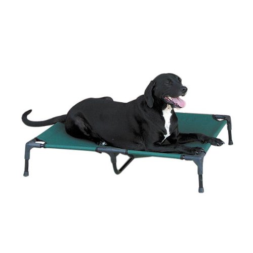 0721343307365 - GUARDIAN GEAR ELEVATED DOG COT, LARGE