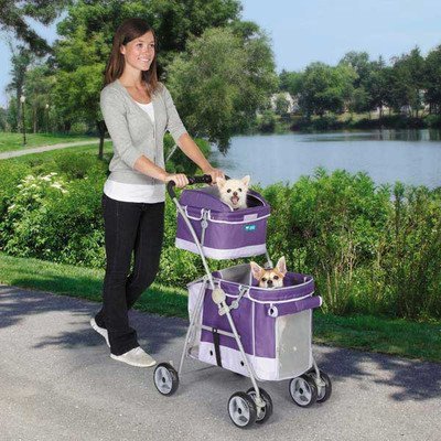 0721343425564 - GUARDIAN GEAR DOUBLE DECKER PET STROLLER FOR DOGS AND CATS, GRAPE