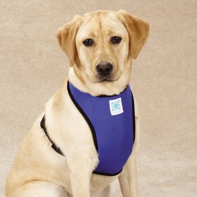 0721343606932 - GUARDIAN GEAR COOL PUP DOG COOLING HARNESS, X-SMALL