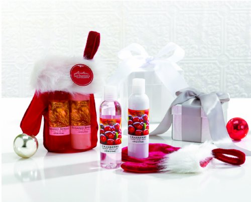 0722030965509 - SAN FRANCISCO SOAP COMPANY SHOWER GEL & LOTION GIFT MITTEN SETS (FESTIVE MINIATURE GIFT SETS) (SUGARED SPRUCE)