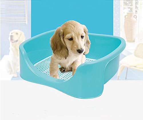 0723740351552 - DOG TOILET BOX INDOOR POTTY BIGGER SIZE （20LX16W X7H INCH）PLASTIC TRAINING PAD TRAY WITH VERTICAL PILLAR HIGH PROTECTION PORTABLE PAD HOLDER BY ZOEZ(SIZE:XL)