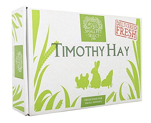 0726670408990 - SMALL PET SELECT 2ND CUTTING TIMOTHY HAY PET FOOD, 10-POUND