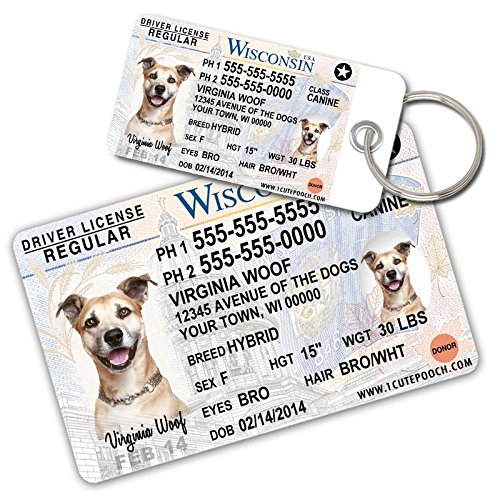 0726682706275 - WISCONSIN DRIVER LICENSE CUSTOM DOG TAGS FOR PETS AND WALLET CARD - PERSONALIZED PET ID TAGS - DOG TAGS FOR DOGS - DOG ID TAG - PERSONALIZED DOG ID TAGS - CAT ID TAGS - PET ID TAGS FOR CATS