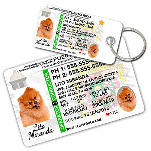 0726682706282 - PUERTO RICO DRIVER LICENSE CUSTOM DOG TAGS FOR PETS AND WALLET CARD - PERSONALIZED PET ID TAGS - DOG TAGS FOR DOGS - DOG ID TAG - PERSONALIZED DOG ID TAGS - CAT ID TAGS - PET ID TAGS FOR CATS