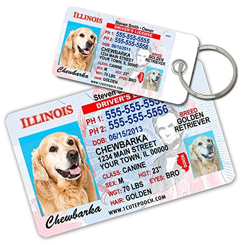 0726682706299 - ILLINOIS DRIVER LICENSE CUSTOM DOG TAGS FOR PETS AND WALLET CARD - PERSONALIZED PET ID TAGS - DOG TAGS FOR DOGS - DOG ID TAG - PERSONALIZED DOG ID TAGS - CAT ID TAGS - PET ID TAGS FOR CATS