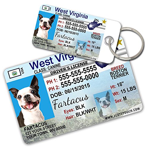 0726682706312 - WEST VIRGINIA DRIVER LICENSE CUSTOM DOG TAGS FOR PETS AND WALLET CARD - PERSONALIZED PET ID TAGS - DOG TAGS FOR DOGS - DOG ID TAG - PERSONALIZED DOG ID TAGS - CAT ID TAGS - PET ID TAGS FOR CATS