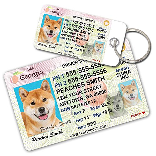 0726682706329 - GEORGIA DRIVER LICENSE CUSTOM DOG TAGS FOR PETS AND WALLET CARD - PERSONALIZED PET ID TAGS - DOG TAGS FOR DOGS - DOG ID TAG - PERSONALIZED DOG ID TAGS - CAT ID TAGS - PET ID TAGS FOR CATS