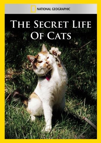 0727994951414 - THE SECRET LIFE OF CATS