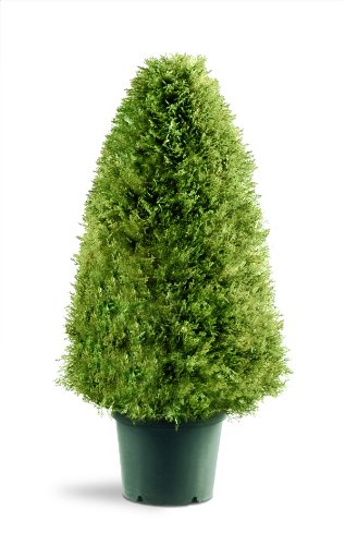 0729083600944 - NATIONAL TREE UPRIGHT JUNIPER TREE WITH GREEN ROUND PLASTIC POT, 30-INCH