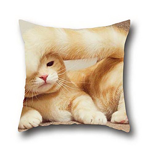 7293959238034 - ARROW ARROWE 100% COTTON BLACK CAT FUNNY OIL PAINTING SOLID COLOR SEQUINS CUSHION COVER ( 16*16 )