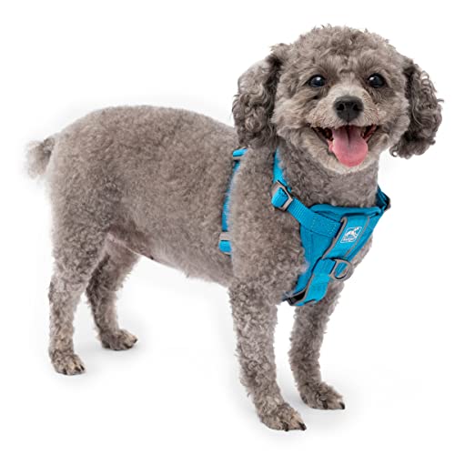 0729849175013 - KURGO DOG HARNESS | PET WALKING HARNESS | CAR HARNESS FOR DOGS | FRONT D-RING FOR NO PULL TRAINING | INCLUDES DOG SEAT BELT TETHER | TRU-FIT SMART HARNESS | BLUE | X-SMALL