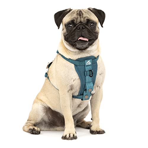 0729849175822 - KURGO TRU-FIT ENHANCED STRENGTH DOG HARNESS - CRASH TESTED CAR SAFETY HARNESS FOR DOGS, NO PULL DOG HARNESS, INCLUDES PET SAFETY SEAT BELT, STEEL NESTING BUCKLES (INK BLUE, SMALL)