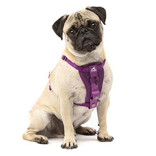 0729849175877 - KURGO TRU-FIT ENHANCED STRENGTH DOG HARNESS - CRASH TESTED CAR SAFETY HARNESS FOR DOGS, NO PULL DOG HARNESS, INCLUDES PET SAFETY SEAT BELT, STEEL NESTING BUCKLES (DEEP VIOLET, SMALL)