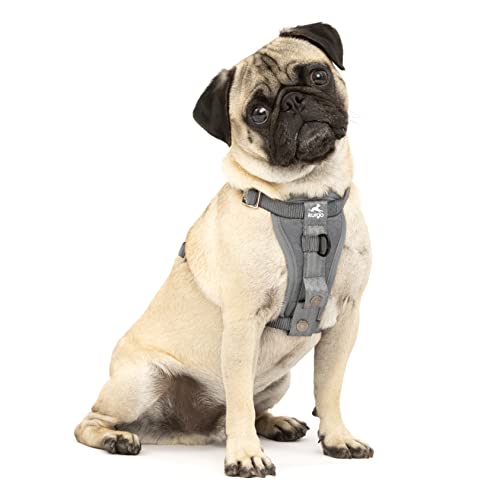 0729849175914 - KURGO TRU-FIT ENHANCED STRENGTH DOG HARNESS - CRASH TESTED CAR SAFETY HARNESS FOR DOGS, NO PULL DOG HARNESS, INCLUDES PET SAFETY SEAT BELT, STEEL NESTING BUCKLES (CHARCOAL, X-SMALL)