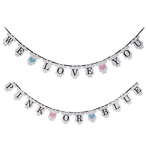 0730792043267 - PINK OR BLUE WE LOVE YOU BABY SHOWER BUNTING