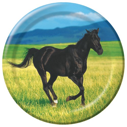 0073525712703 - CREATIVE CONVERTING WILD HORSES 8 COUNT PAPER LUNCH PLATES